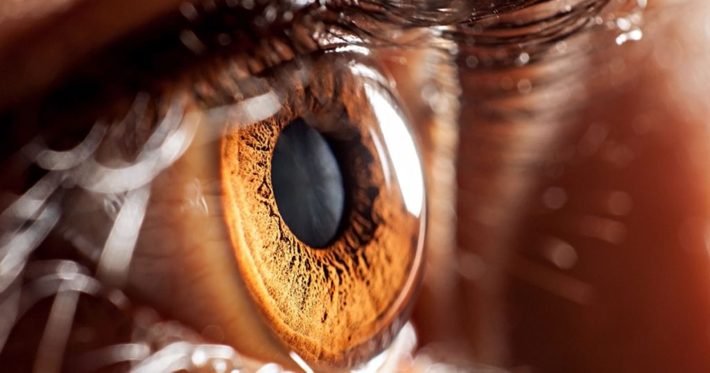 macro eye