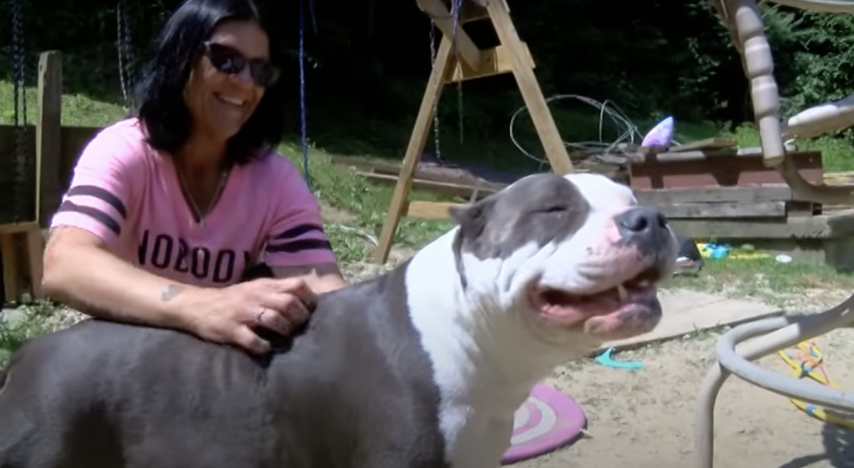 The family's dog Penny being scratched, Photo Credit: Fox8 WGHP